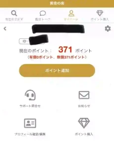 黄金の泉