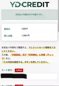 FULLBUSTER BEARER LIMITED SERVICES INC.